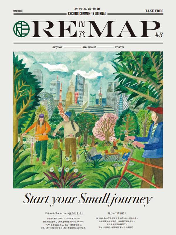 REMAP ISSUE #3
